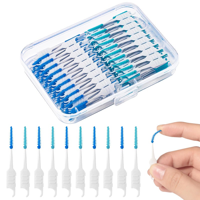 RAYITO 250 Pieces Interdental Brushes, Silicone Dental Brushes 2-in-1 Blue Tooth Floss Picks Teeth Floss Sticks Dental Toothpicks Cleaning Tool for Braces Oral Cleaning(Blue, Green)